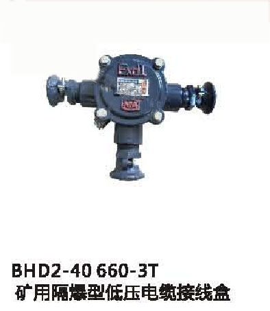 BHD2-40/660（380）-3T矿用隔爆型低压电缆接线盒