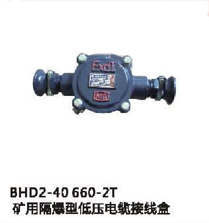 BHD2-40/660（380）-2T矿用隔爆型低压电缆接线盒