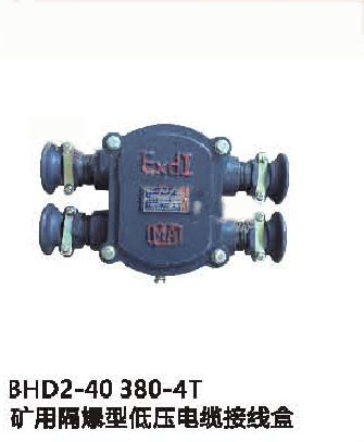 BHD2-40/660（380）-4T矿用隔爆型低压电缆接线盒