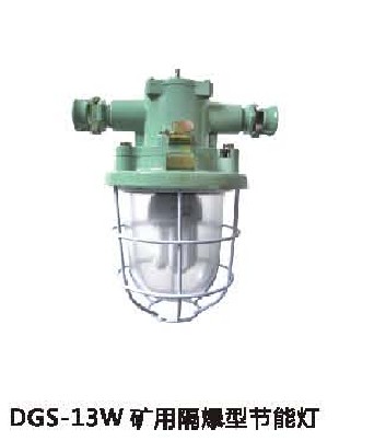 DGS24/127矿用隔爆型节能灯